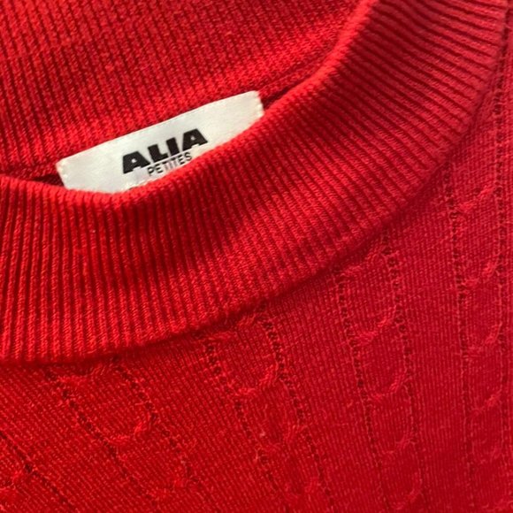 Red SweatShirt - Picture 4 of 4